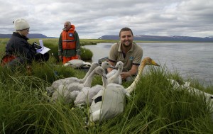 Engivatn