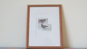 Ennion, Pinkfooted geese