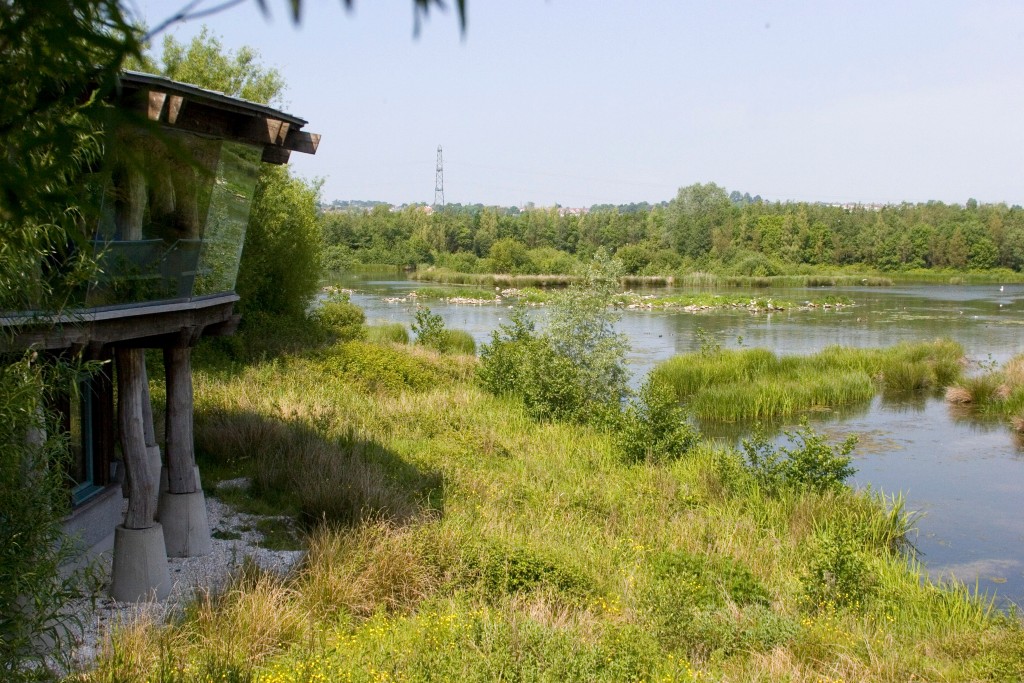 Herons wing hide