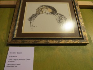 IMG_0433