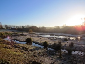 View from the visitor centre