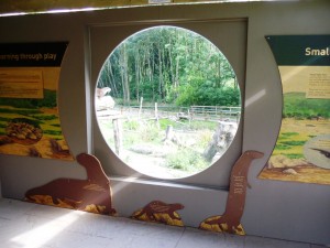 Musa and Mimi's enclosure