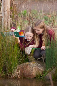 schoolchildren checking their net