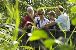 WWT Groups visitors with map