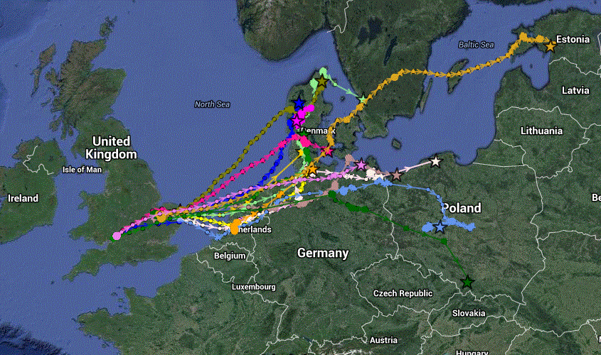 spring migration march 2015