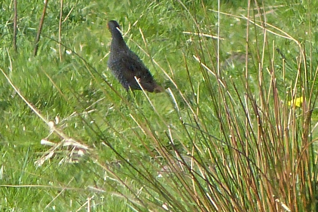 P1020637