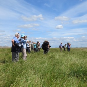 Guided walk