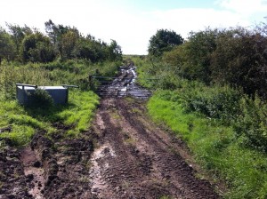 Water flowing down farm tracks can carry soil and manure into local streams