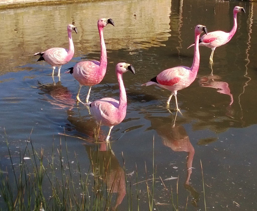 Rockin' their new summer outfits!