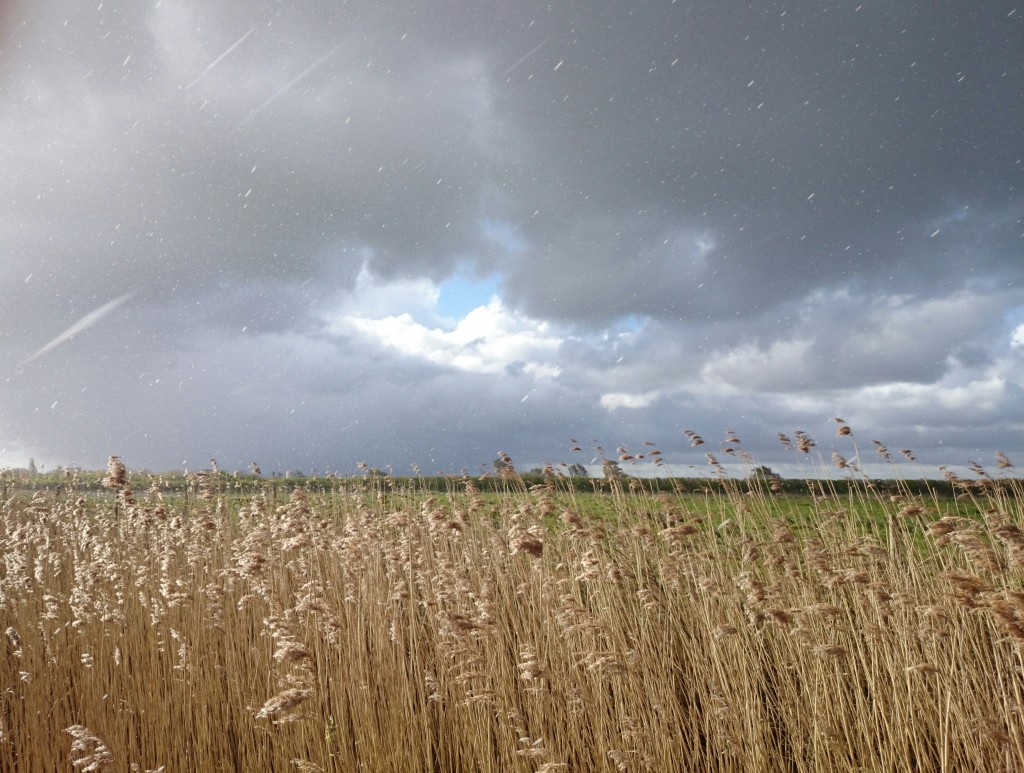 Arctic Hail....