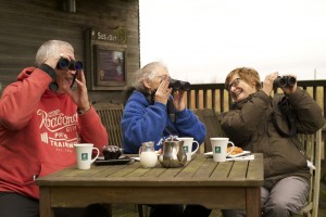 Visitors enjoying the view from the veranda by Adam Finch