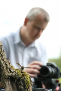 Volunteer filming a hawkmoth