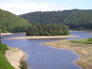 Hang on, that reservoir's emptying...low water levels can affect water quality and wildlife health