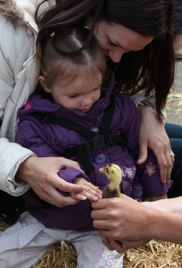 Child and duckling WWT