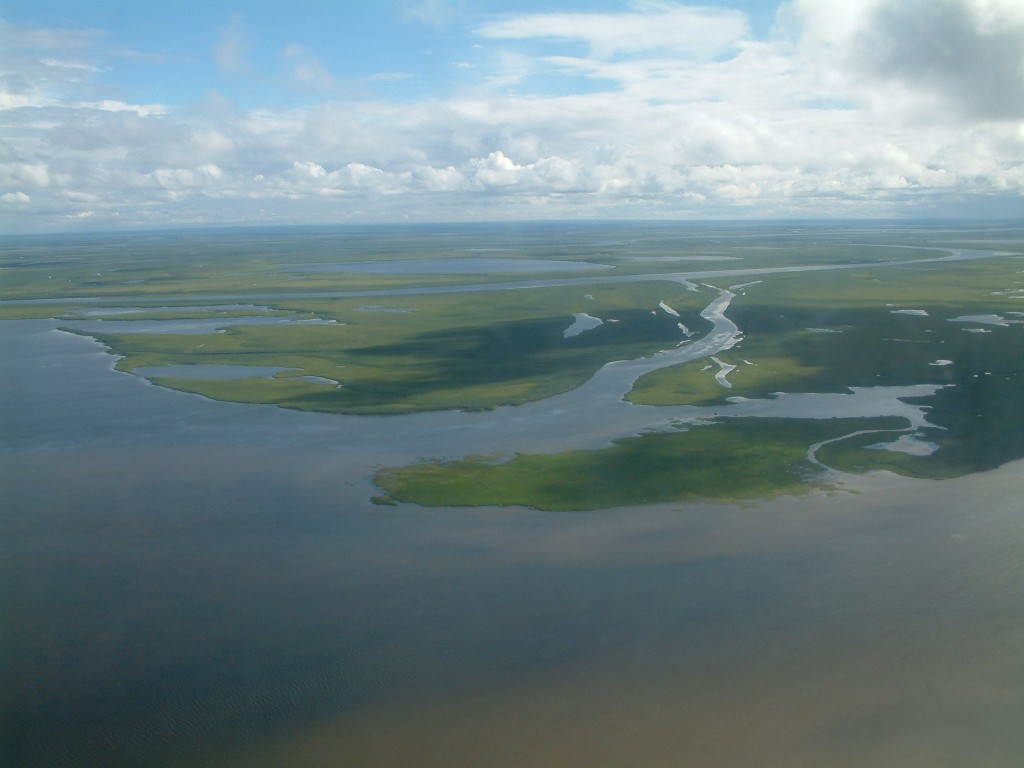 Arctic Russian tundra (WWT)