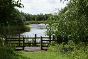 View of one of the lakes at Llanelli Wetland Centre