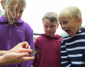 Phoebe Dylan and James from Slimbridge School meet one of the new crayfish