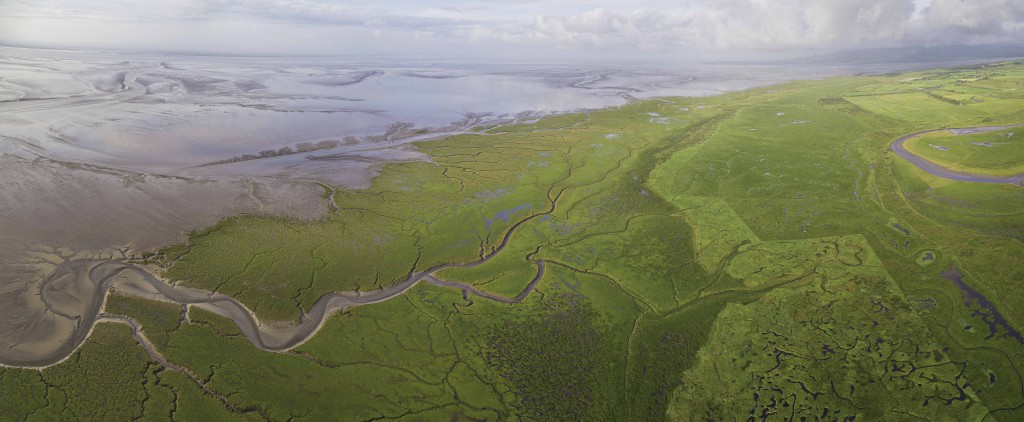 Wow! Yes that really is what our Caerlaverock reserve looks like from above.