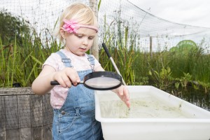 Pond Dipping. Pic Nigel Snell / WWT