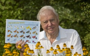 Sir David Attenborough launches the Big Butterfly Count 2014, at London Wetland Centre, on 18 July 2014.