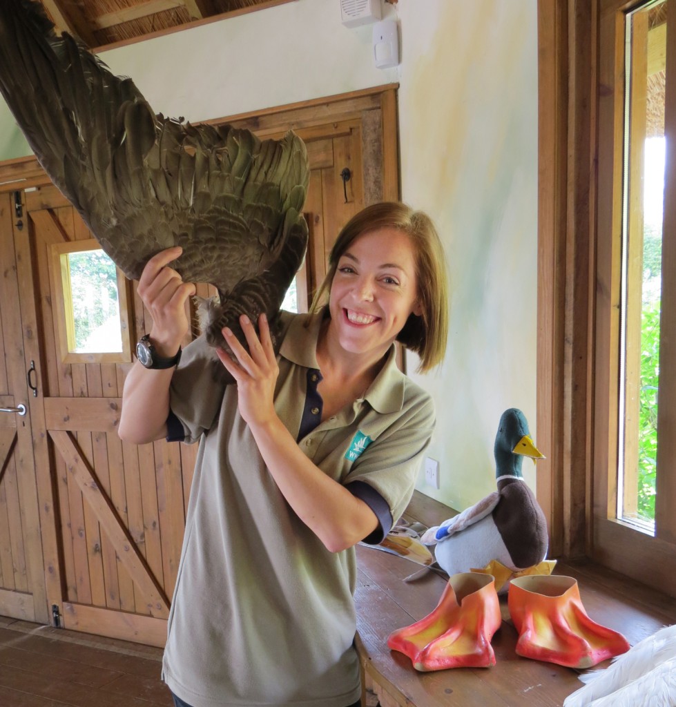 Education officer Lizzy Pearce demonstrates some of the props used in the ‘Discover Beaks, Feathers and Feet’ workshop this Sunday afternoon at Arundel Wetland Centre. Children can discover how birds eat, walk and fly in this fun session that is included in the admission charge to the wetland reserve.