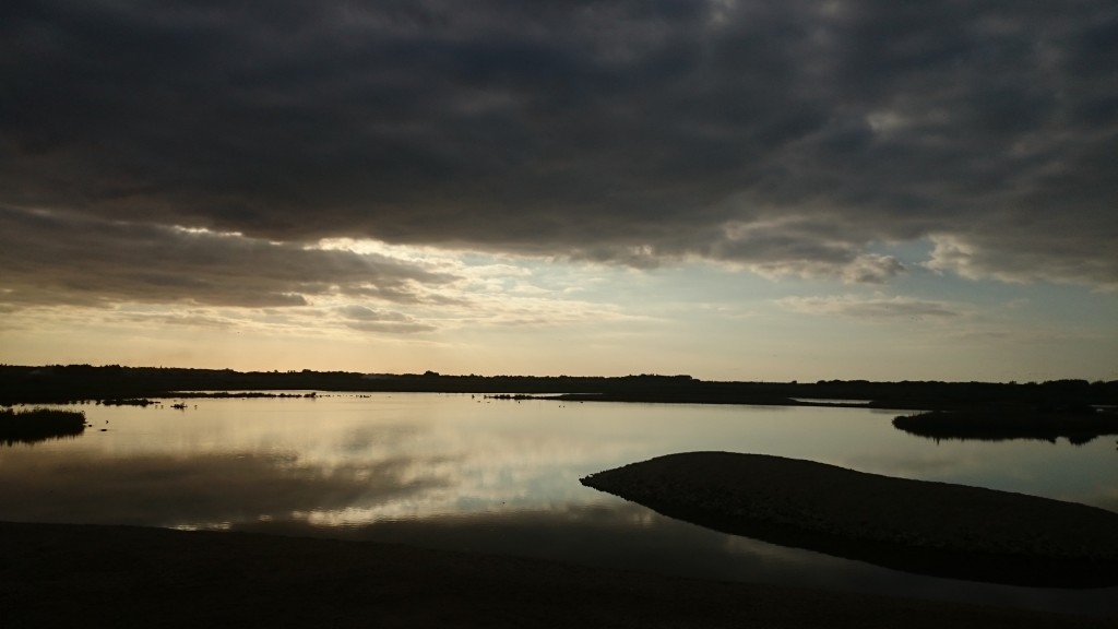 The Mere late afternoon. Most of the Pink-footed Geese are viewed from the Ron Barker Hide