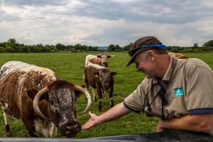 Farming and nature go hand in hand at WWT