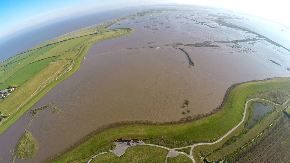 WWT Steart Marshes at high tide this morning. The Bristol Channel is to the right and the River Parrett to the left. (c) Sacha Dench
