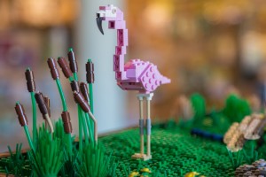 Flavia our LEGO® Bricks Flamingo (c) Adam Finch