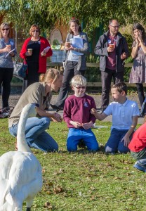 Teachers observing an activity run by WWT's Lucy Hellier (c) Simon Ball