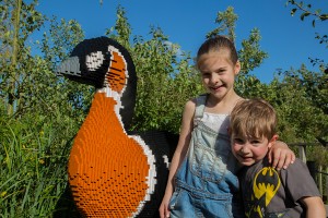 Bruce the red-breasted goose took 120 hours to make! (c) Adam Finch WWT