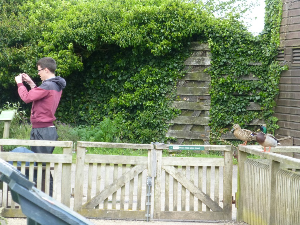 Being stalked by mallards...? Research student Gareth was often observed by the same pair of ducks whilst doing his own observations. 