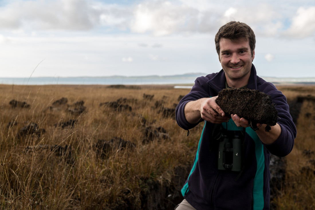 Five things you can do to help wetlands | WWT