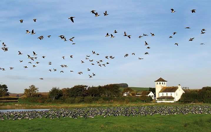 aw_blog_caerlaverock