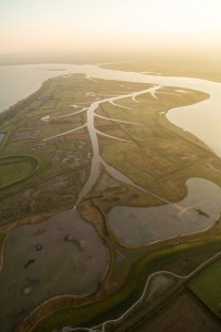 Steart Marshes from above - WWT gets creative on a huge scale, all these channels are manmade to create a working landscape which protects homes for people, and creates homes for wildlife