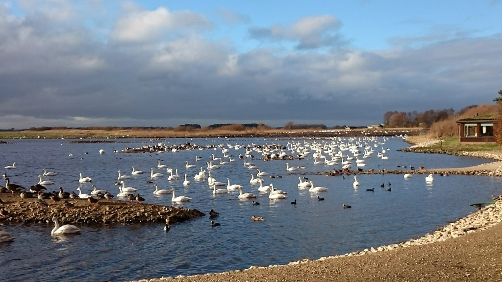 A bit of afternoon sun on the Mere