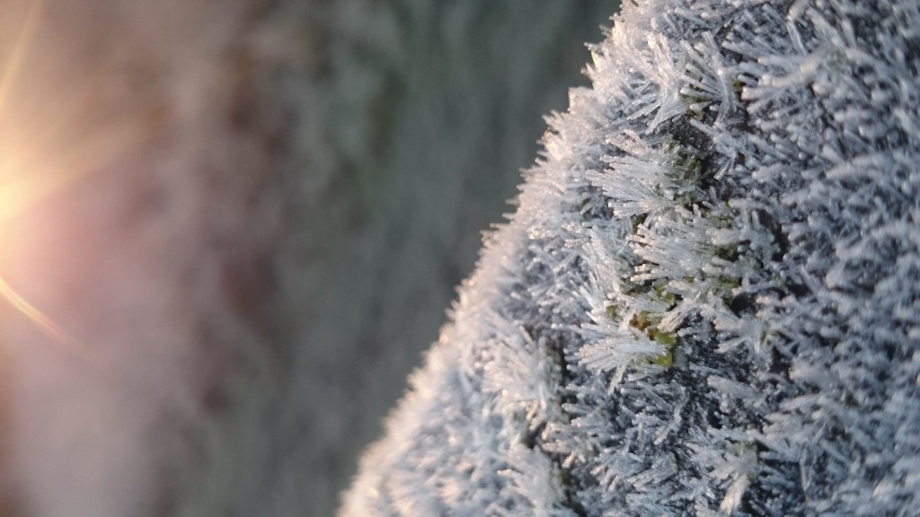 Hoar Frost