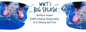 WWT Big Splash at Castle Espie