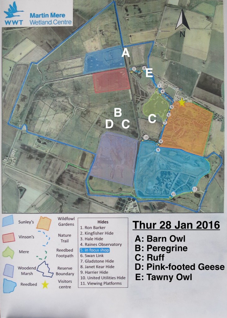 Martin Mere Map