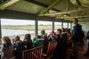 Martin Mere October 20th 2015-037