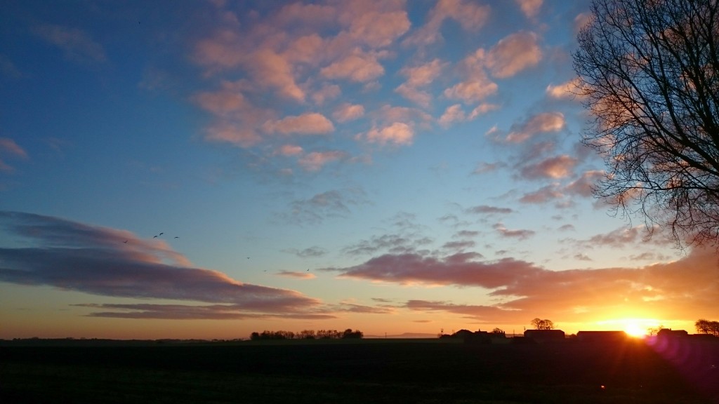 Early morning at the start of the Reed Bed Walk.