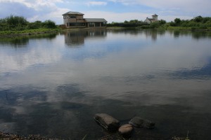 WWT Caerlaverock wetland centre