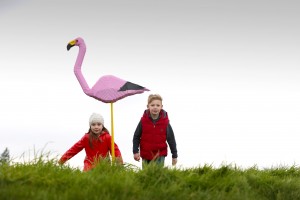 Oliva Rose (7) and Watson Kingham (8) pictured along with Flavia the flamingo at the LEGO brick animal trail at WWT Castle Espie Wetland Centre, Comber. A giant LEGO brick animal trail, the only one of its kind in Northern Ireland has launched at WWT Castle Espie Wetland Centre, Comber. This is the first time these amazing characters which include Flavia the flamingo, Lottie the otter and Bruce the red breasted goose have been seen in Northern Ireland among the real life animals which inspired them. The LEGO Brick Animal Trail continues for five weeks until the 20th March. For more information visit www.wt.org.uk/castleespie/lego.
