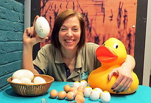 See the NEW EGGciting EGGSperiments Show every morning in the Sandpiper theatre.