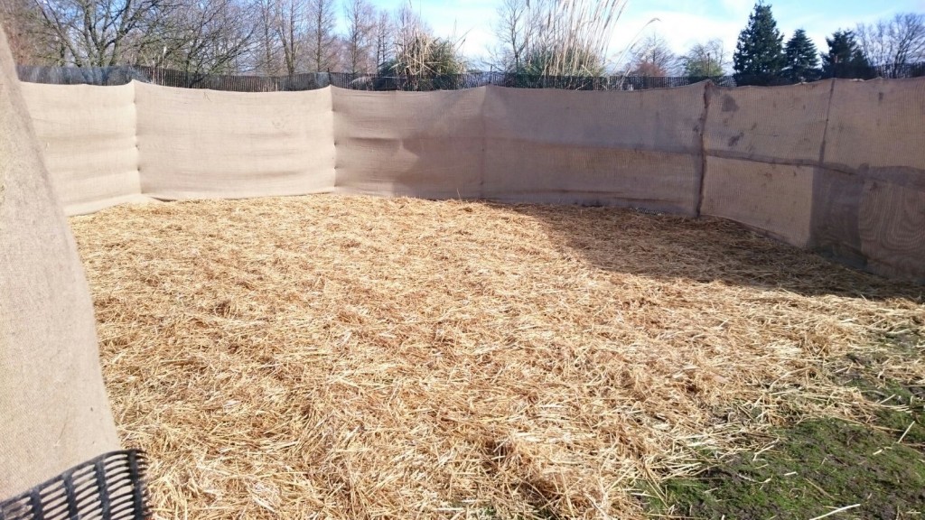 Straw for comfy feet. Stops slips, trips and falls. Keeps the birds clean and warm. The flamingo catching corral always has a nice thick layer of straw on its floor.