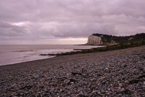 Wetlands beneath the white cliffs of Dover - should this be where our environmental influence ends?