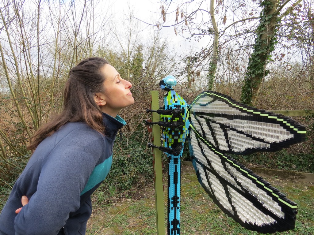 Monica meets Emily, a 12x life-sized Emperor dragonfly made of LEGO® Bricks.