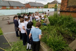 This garden at Hollickwood Primary School captures water running off the school buildings