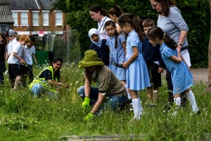 Plant growth can help economic growth - sustainable drainage at Hollickwood Primary School