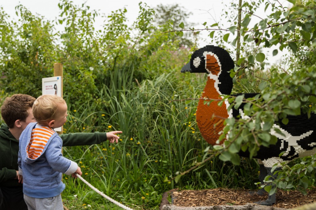 A pair of young boys looking at the Lego red-breasted goose model at WWT Slimbridge.